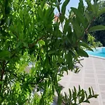 Vendégház Appartmants 2 With Pool And Private Jakuzzi
